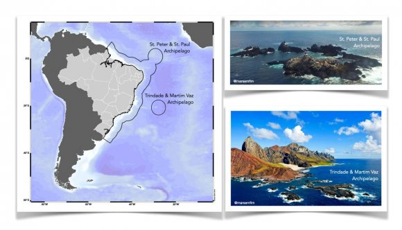 from any internal influences such as management or other stakeholders.