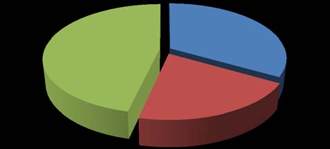 Figure 1: Workforce representation by gender