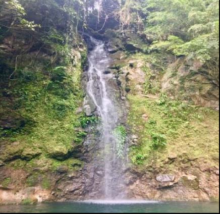 Potentials and Prospects: Accessibility, Potential Markets, Means of transport, Mode of Transportation Evaluating the Development Potentials of Agri Sites for Tourism: The Case of Tigaon, Province of Camarines Sur, Philippines Journal of Management and Business Research Volume XX Issue III Version I Year 2020 ( ) VK Farm is located at Barangay Libod, Tigaon, Camarines Sur. The project-based organic farming was known for having herbs and spices, corn, rice, coconut, vegetables, etc. It is also the placed certified for producing variety of seeds being collected by the Department of Agriculture. VK farm is approximately 400 meters away from the main road of Barangay Libod owned by Veronica Purisima. (results taken from ocular visit and interview) Helen's Havens is approximately 400 meters away from the Barangay hall of Libod. Side attractions were the fruit bearing trees along its entrance side by side, man-made cave, variety of trees, the tree house, the proposed eco-park, pineapple plantation. There are cottages and lodging room for family with the unique swimming pool that children love to swim and play. Plantation of senorita banana plants were located at Libod Elementary School, serves also as the gateway to Helen's Havens owned and managed by Mr. and Mrs. Joseph Mendoza. (results taken from ocular visit and interview) Maripas farm is located in Tinawagan, Tigaon, Camarines Sur. This serves as the training area for farmers. There are more or less 40 cows and 6 carabaos in the area dominated by coconut trees. There are hills and slope at Maripas farm approximately 2.5kms away Tinawagan Centro. (results taken from ocular visit and interview)